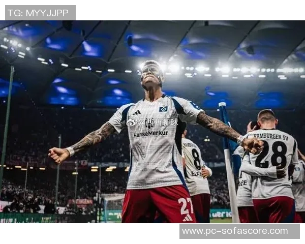 德乙联赛战平频繁汉堡重返德甲之路一片坦途