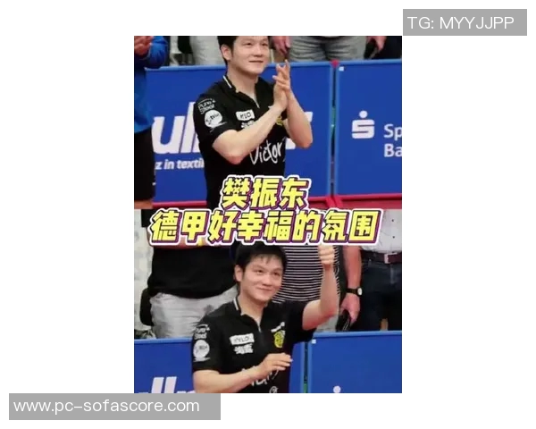 樊振东的德甲之旅：个人选择与刘国梁WTT模式的深度碰撞与思考